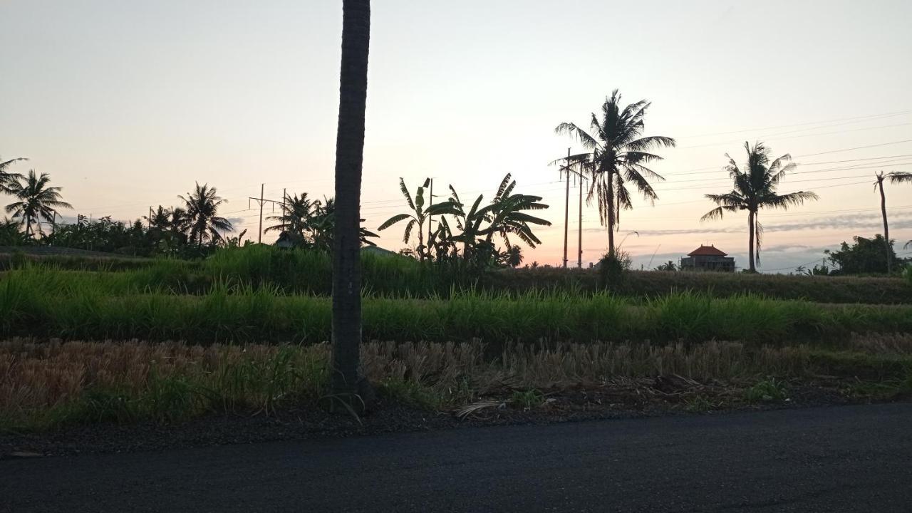 Neny'S Homestay Saba Extérieur photo